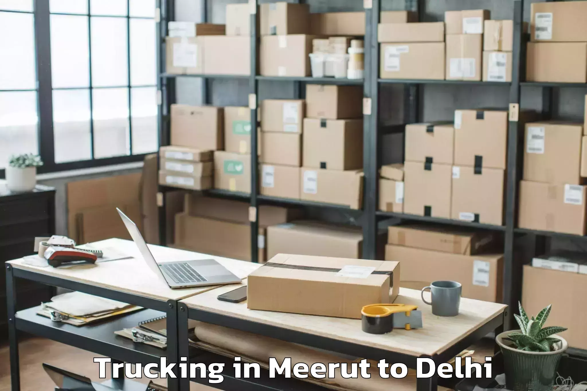 Easy Meerut to Darya Ganj Trucking Booking